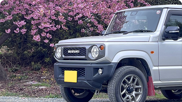 桜のある場所